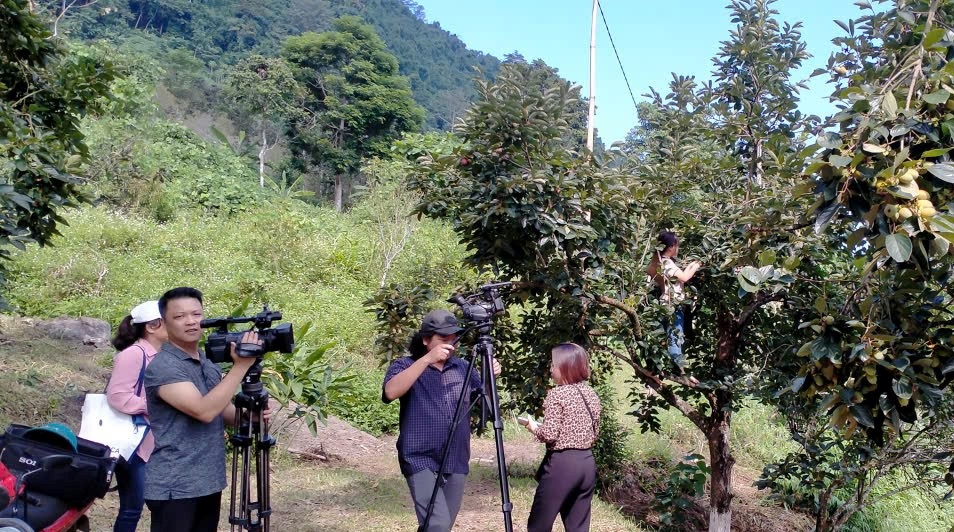 Hoạt động quay phim tại vườn hồng